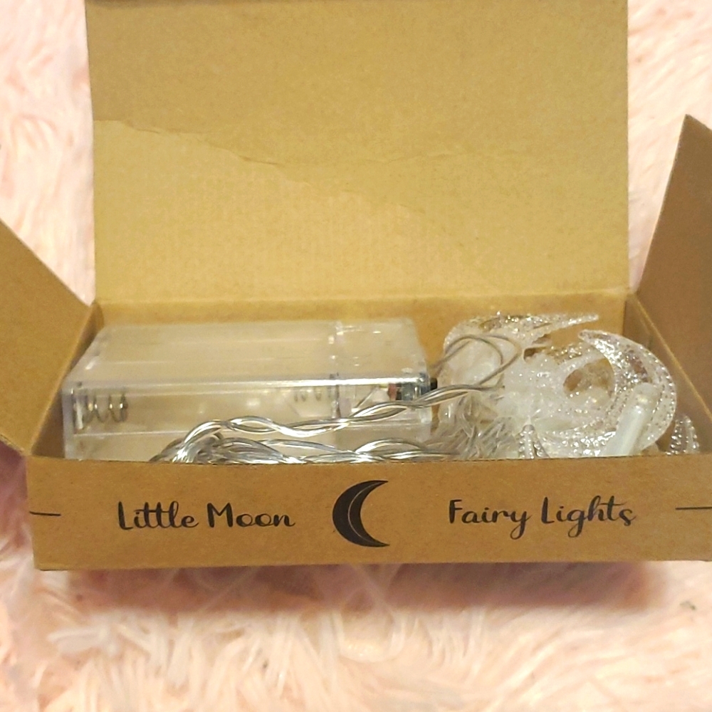 Fairyloot 2021 Fairy Lights